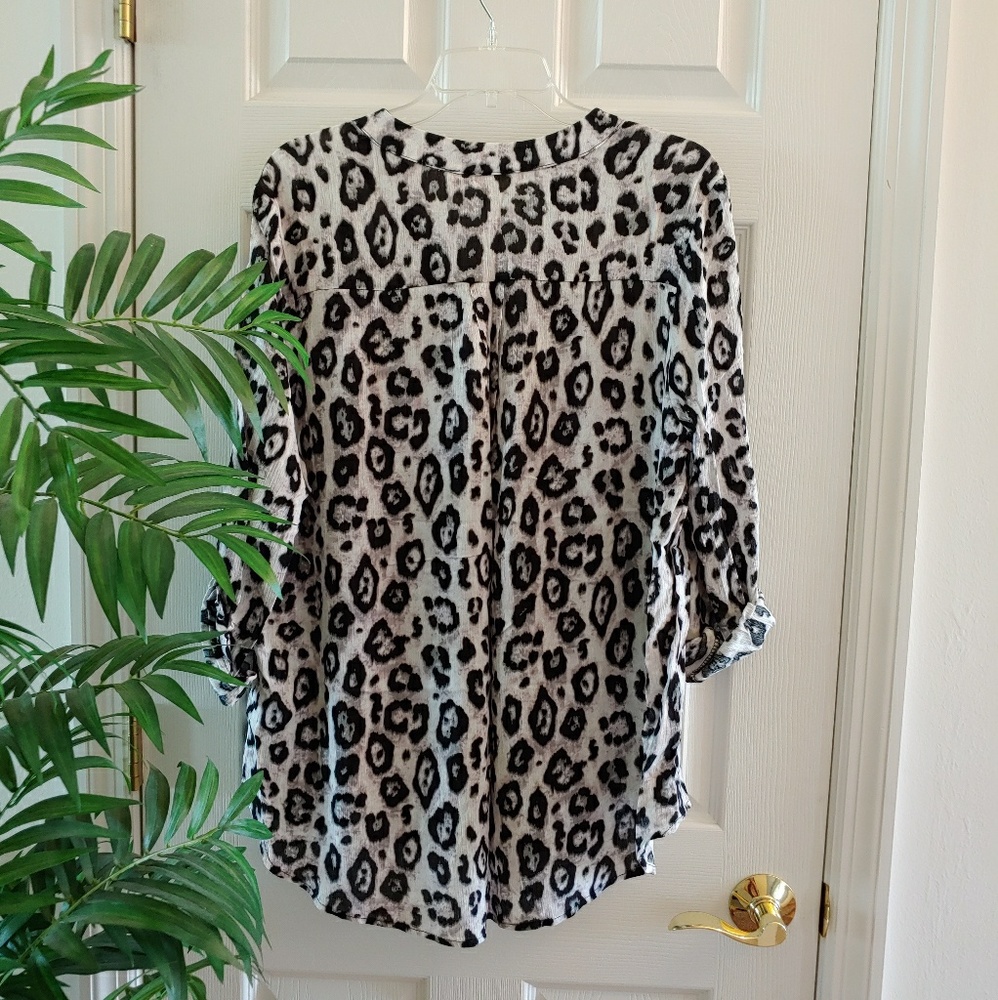 SOLD Entro Leopard 3/4 Sleeve Blouse - Picture 6 of 6